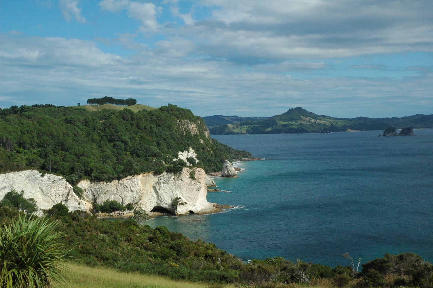 431   06 02   Coromandel   Cathedral Cove